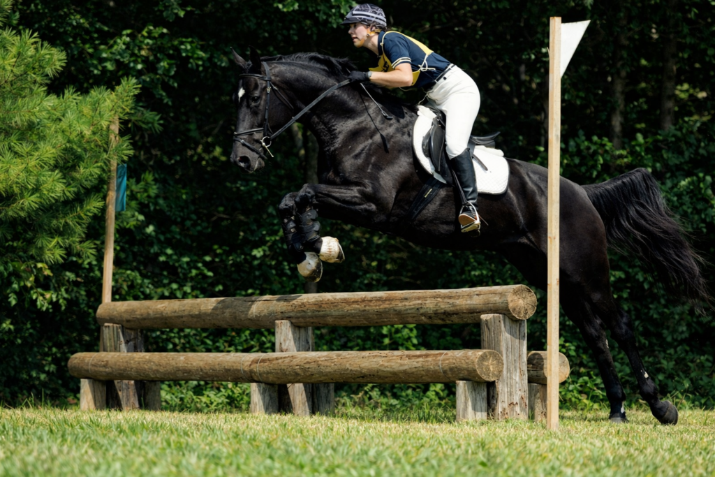 Horse jumping